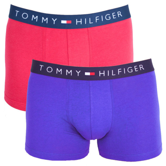 2PACK Moške boksarice Tommy Hilfiger večbarvne (UM0UM00368 084)