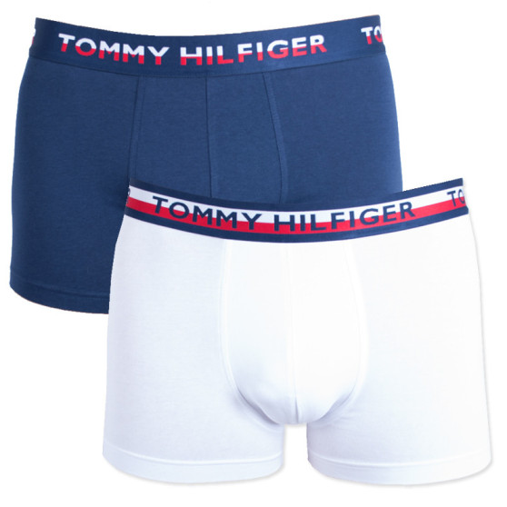 2PACK Moške boksarice Tommy Hilfiger večbarvne (UM0UM00746 222)