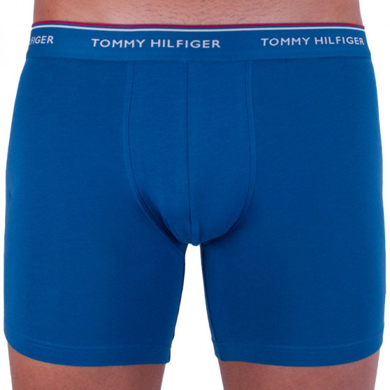3PACK Moške boksarice Tommy Hilfiger večbarvne (UM0UM00010 071)