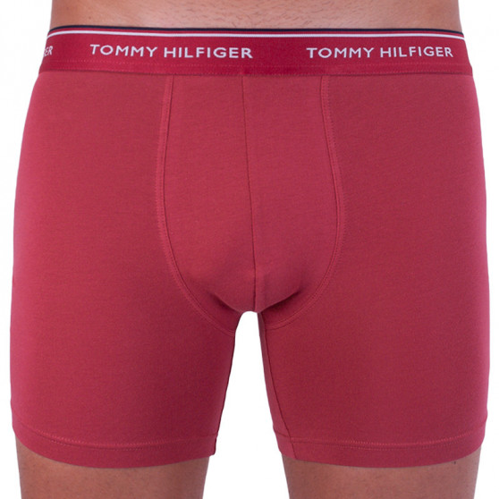 3PACK Moške boksarice Tommy Hilfiger večbarvne (UM0UM00010 071)