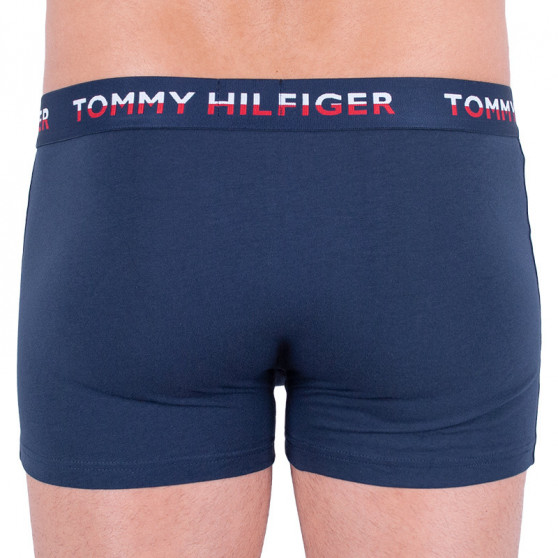 2PACK Moške boksarice Tommy Hilfiger večbarvne (UM0UM01233 054)