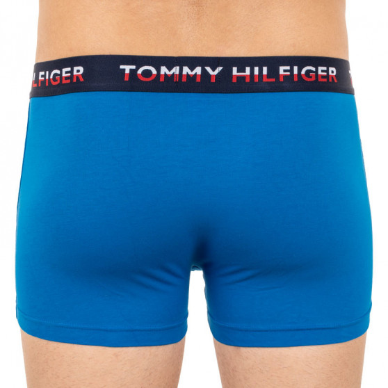 2PACK Moške boksarice Tommy Hilfiger večbarvne (UM0UM01233 014)