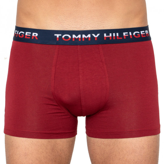 2PACK Moške boksarice Tommy Hilfiger večbarvne (UM0UM01233 582)