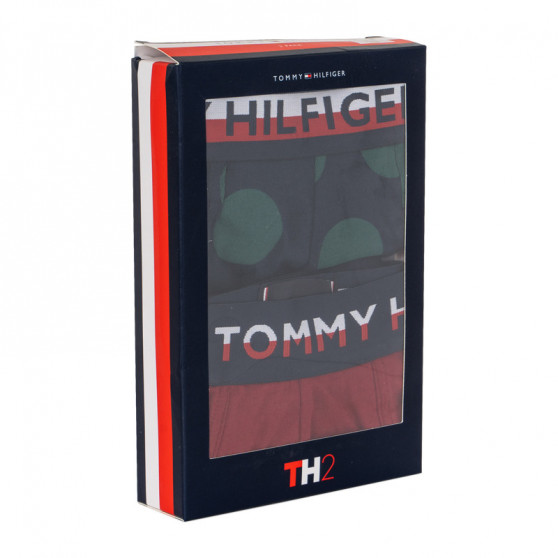 2PACK Moške boksarice Tommy Hilfiger večbarvne (UM0UM01233 582)