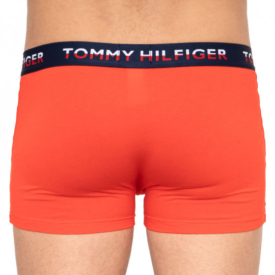 2PACK Moške boksarice Tommy Hilfiger večbarvne (UM0UM01233 021)