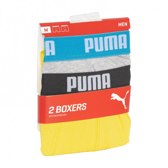 2PACK Moške boksarice Puma večbarvne (521015001 006)