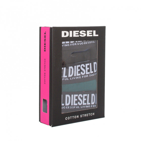 3PACK ženske hlačke Diesel večbarvne (00SQZS-0NAZU-E5187)