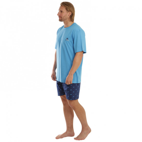 Moška pižama Gino modra (79108)