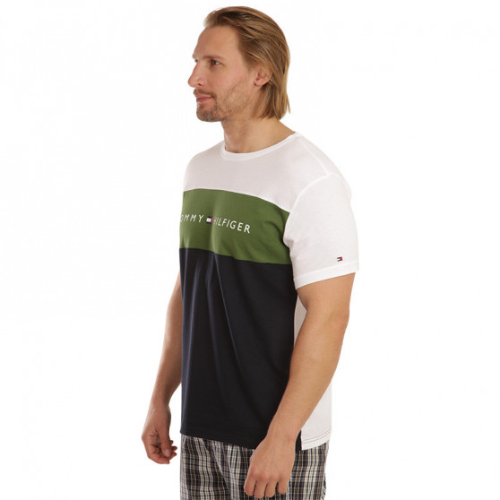 Moška majica Tommy Hilfiger večbarvna (UM0UM01170 MS1)