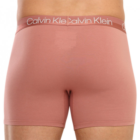 3PACK Moške boksarice Calvin Klein večbarvne (NB2971A-1RM)