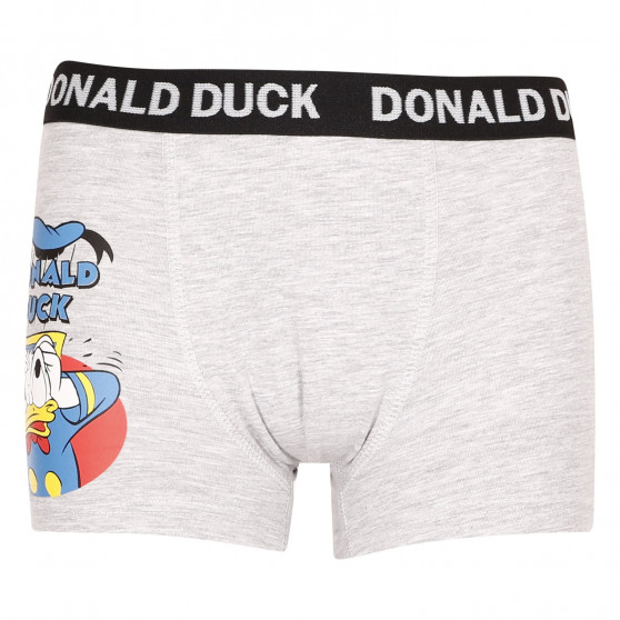 2PACK Fantovske boksarice E plus M Donald Duck večbarvne (52 33 8653/9729)