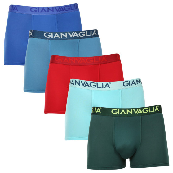 5PACK Moške boksarice Gianvaglia večbarvne (GVG-5006)