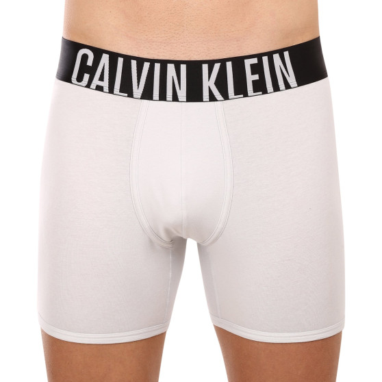 2PACK Moške boksarice Calvin Klein večbarvne (NB2603A-C2D)