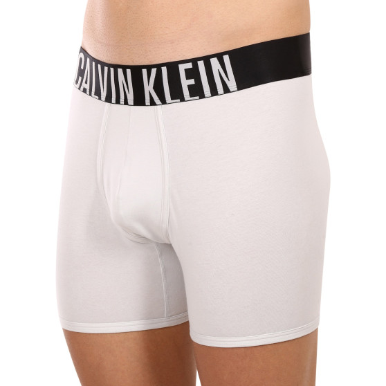 2PACK Moške boksarice Calvin Klein večbarvne (NB2603A-C2D)