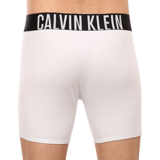 2PACK Moške boksarice Calvin Klein večbarvne (NB2603A-C2D)