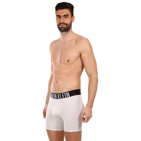 2PACK Moške boksarice Calvin Klein večbarvne (NB2603A-C2D)