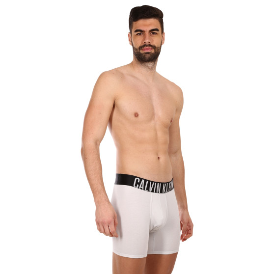 2PACK Moške boksarice Calvin Klein večbarvne (NB2603A-C2D)