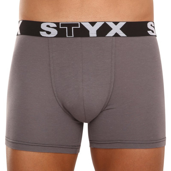 3PACK moške boksarice Styx dolge športne elastične temno sive (3U1063)